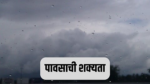 Rain 