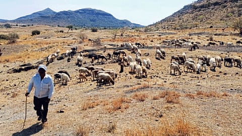 Drought