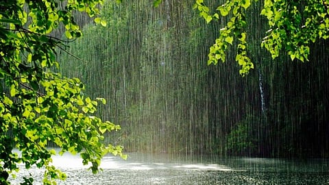 Rain Update 
