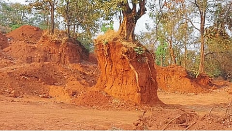 Soil Excavation