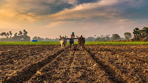 Farmer Loan Waive
