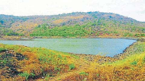 Dam Survey