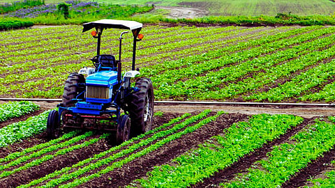 Agriculture 