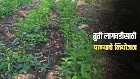 Water Management