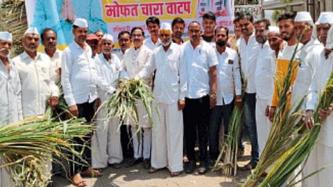 Fodder Shortage