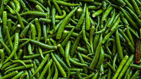 Chili Rate 