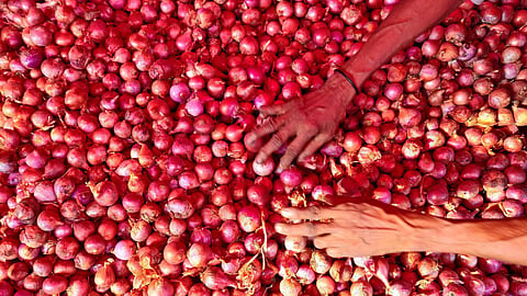 Onion