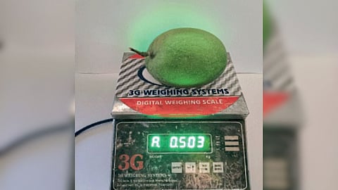 Mango 