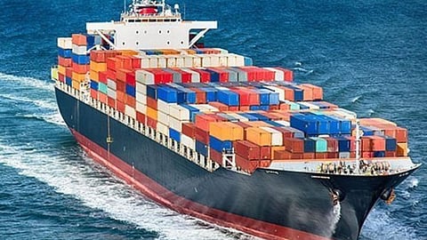 Mango Export