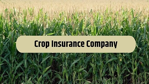 Crop Insurance Company