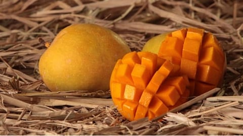 Mango Market