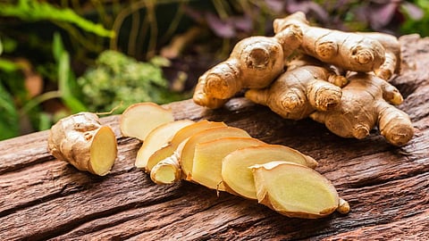 Ginger Rate 