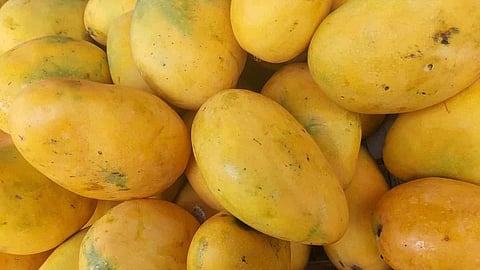 Mango 