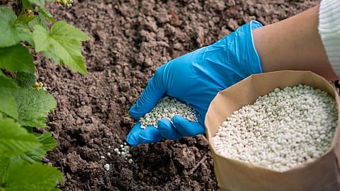 Fertilizer