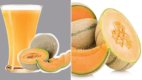 Muskmelon Food