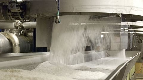 Olam Sugar Factory