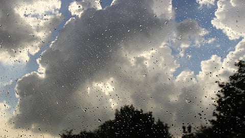 Rain Forecast