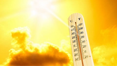 Summer Heat 