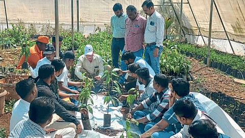 Nursery Management