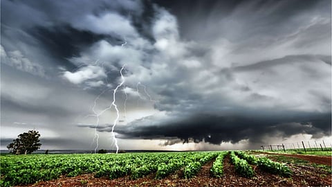 Weather