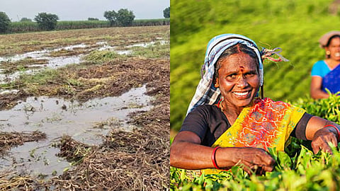 Farmer Loan