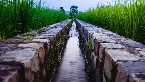 Irrigation