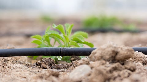 Agriculture Irrigation