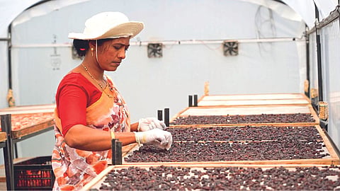 Women Empowerment