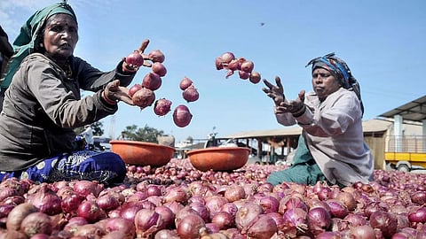 Onion buffer stock