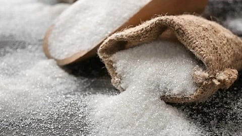 Sugar Production