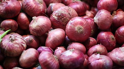 Onion