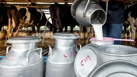 Milk Production