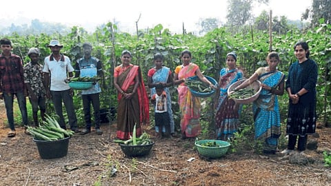 Agriculture Employment