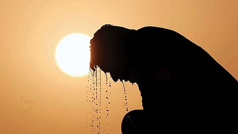 Summer Heat