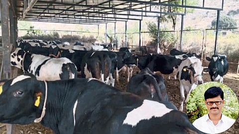 Animal Husbandry