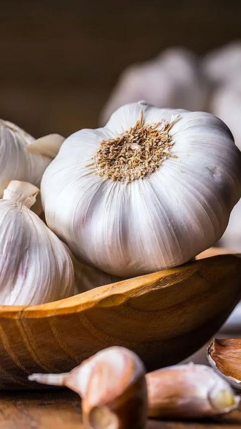 Garlic Benefits