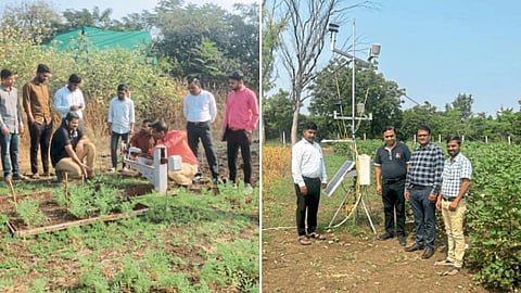 Crop Management