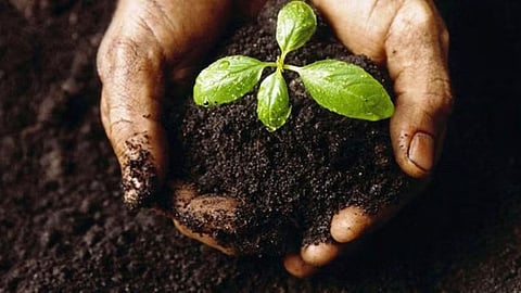 Soil Health Card