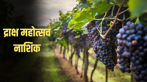 Grape Festival Nashik