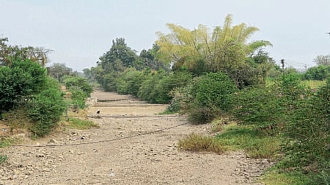 Agriculture Irrigation