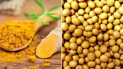Soybean And Turmeric