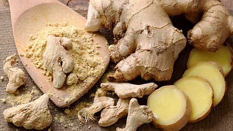 Ginger 
