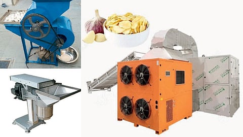 Garlic Technology