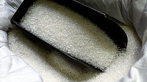 Sugar Production