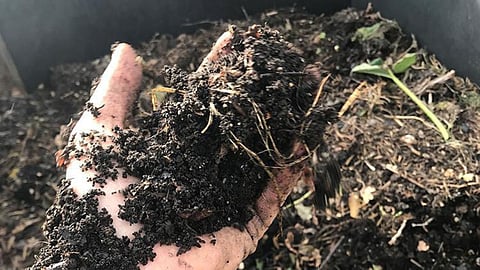 Organic Curb