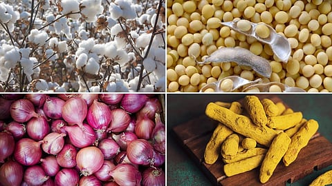Agriculture Market
