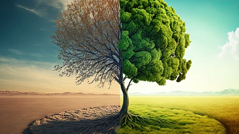 Climate Changes