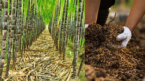 Compost Making