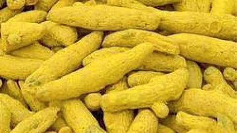 Turmeric 