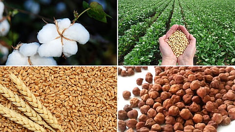 Agriculture Market